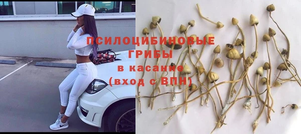 spice Алексин