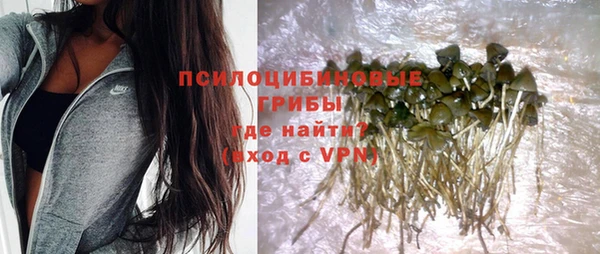 spice Алексин