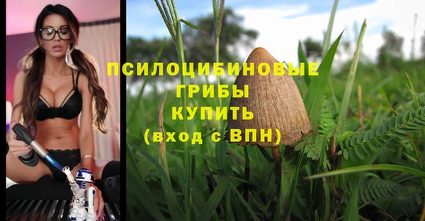 меф Алзамай