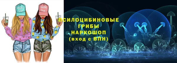 spice Алексин