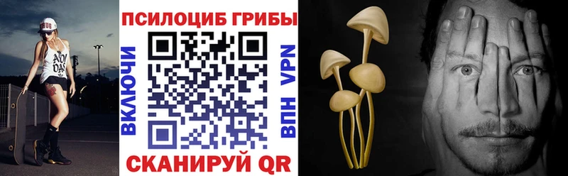 Галлюциногенные грибы Magic Shrooms  shop телеграм  Рудня 